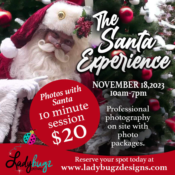 The Santa Experience