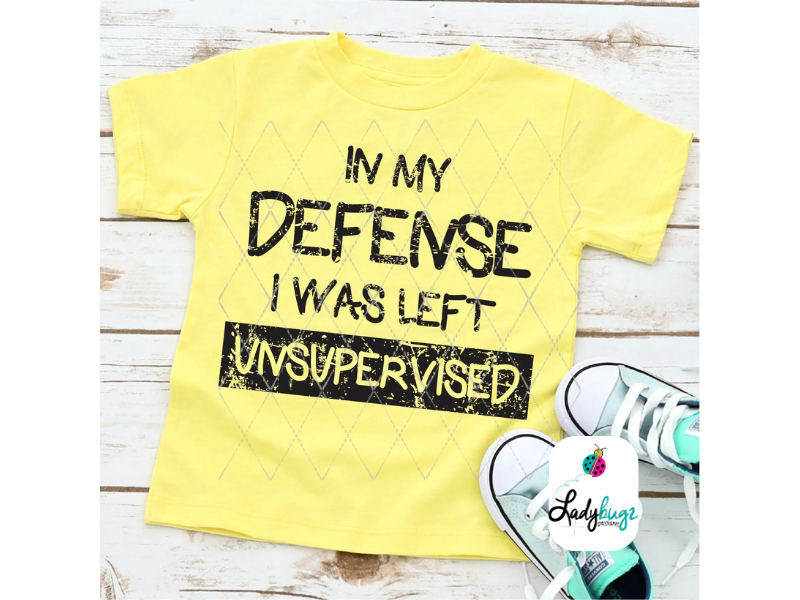 In My Defense I Was Left Unsupervised (Youth)