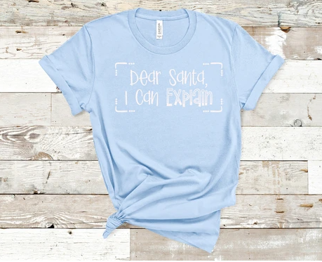 Dear Santa, I Can Explain (Youth)