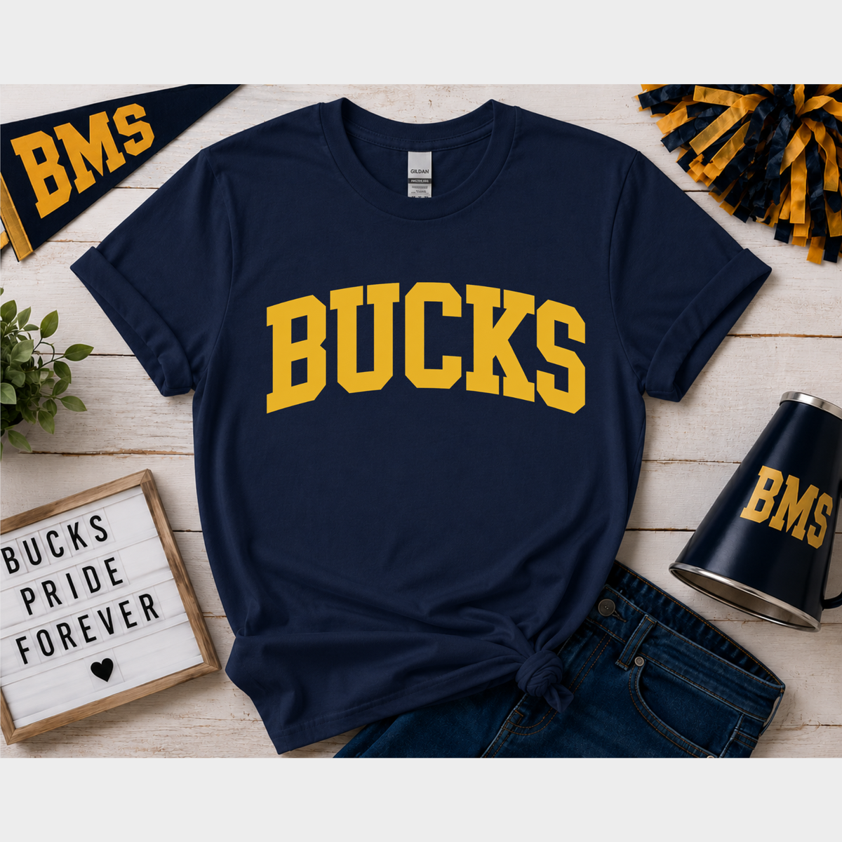 Bucks Collegiate Arch
