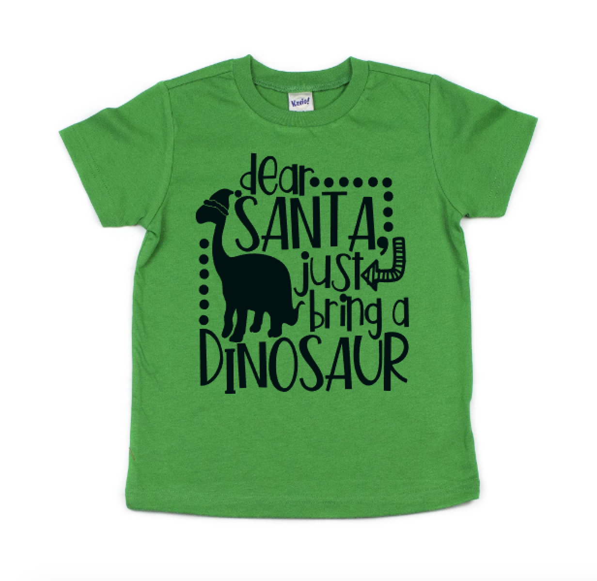 Dear Santa Just Bring A Dinosaur (Youth)